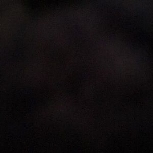 Meet your Posher, Britney